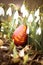 A beautiful, colored red Easter egg in the backyard. Traditional spring food and festival.