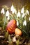 A beautiful, colored red Easter egg in the backyard. Traditional spring food and festival.