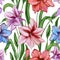 Beautiful colorful amaryllis flowers with green leaves on white background. Seamless spring pattern. Watercolor painting.