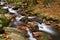 Beautiful colorful background with river and stones in autumn time. White Opava Waterfalls - Jeseniky Mountains - Czech Republic