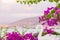 Beautiful and colorful bougainvillea flowers. Branch magenta bougainvillea flowers on blur background of blue sea, mountains and