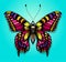 Beautiful colorful butterfly on blue background. Bright tattoo for your back. Tropical realistic butterfly. Machaon