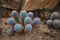 Beautiful colorful of cactus on sand soil