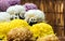 Beautiful colorful chrysanthemums in a closed Japanese garden. Close-up.