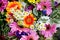 Beautiful colorful collection of flowers spring summer celebration