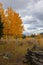 Beautiful and Colorful Colorado Rocky Mountain Autumn Scenery