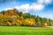 Beautiful colorful forest and field in the fall