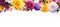 Beautiful colorful fresh flowers There is space to enter text. website decoration