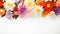 Beautiful colorful fresh flowers There is space to enter text. website decoration