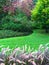 Beautiful colorful garden with green lawn