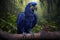 Beautiful Colorful Hyacinth Macaw Full Body In Forest. Colorful and Vibrant Animal.