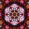 Beautiful and colorful kaleidoscope photo