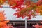 Beautiful colorful maple leaves with Pavilion background in Eikando temple or Eikan-do Zenrinji shrine, famous for tourist