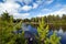 Beautiful colorful peaceful mountain blue lake with green pine trees and white clouds in sky