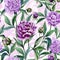 Beautiful colorful peony flowers with leaves, buds and pink outline on white background. Seamless floral pattern.
