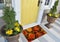 Beautiful Colorful Rose Flower Printed Welcome zute doormat outside home with yellow flowers and leaves