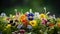 Beautiful colorful spring flowers in the garden on a sunny day. Closeup flowers on blurred background. Wildflowers background