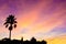 Beautiful colorful sunset on Montjuic, Spain, black urban silhouette of a palm tree, churches, national art museum of