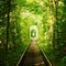 Beautiful colorful tree alley in forest, natural background. Magic Tunnel of Love, green trees and the railroad, in Ukraine.