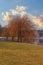 Beautiful colorful tree by the water. Willow stands by the dam. Blue sky with clouds