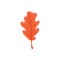 Beautiful colourful autumn leaf or fall foliage icon.