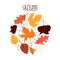 Beautiful colourful autumn leaves, fall foliage background.