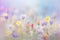 Beautiful colourful bloomed flower field, summer soft background.