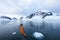 Beautiful colourful kayaks on the blue ocean, Antarctic Peninsula