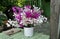 Beautiful colourful orchid in white vase on green table