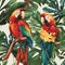 Beautiful colourful parrots and green exotic leaves. Pattern design