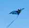 A beautiful, colourful stunt kite, in the blue sky, high up in the wind