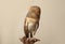 Beautiful common barn owl on twig against beige background