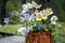 Beautiful composition with bouquet with Anemonoides nemorosa, European thimbleweed, Whetzel weed