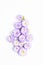 Beautiful composition of fresh aster purple color flowers on a white background. flat lay, top view