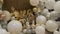 A beautiful composition of helium balloons of golden, silver and white.