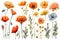 Beautiful composition with watercolor hand drawn colorful poppy flowers. Generative AI