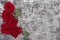 Beautiful concrete background decorated with red roses,