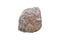 A beautiful conglomerate sedimentary rock isolated on a white background. Big stone for outdoor garden decoration.