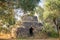 Beautiful conical roof of traditional stone trullo house in olive grove, Puglia, Italy