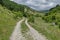 Beautiful coniferous and deciduous  forest, fresh glade with different grass, waterfall and dirt road in Balkan mountain