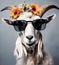 Beautiful cool goat portrait in sunglasses with flowers on head, AI