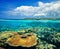 Beautiful Coral reef on background Gili Meno Island