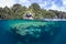 Beautiful Coral Reef and Limestone Islands in Raja Ampat