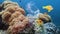 Beautiful coral reef with sea anemones and clownfish polluted with plastic bag