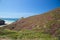 Beautiful Cornish landscape with purple heather foreground