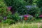 Beautiful cosy garden and old rural houses