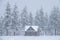 Beautiful cottage on the outskirts of a pine forest is caught in a blizzard.