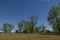 Beautiful Country farmland trees and clear blue sky background