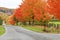 Beautiful country road in autumn foliage