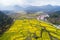Beautiful countryside of China is in spring